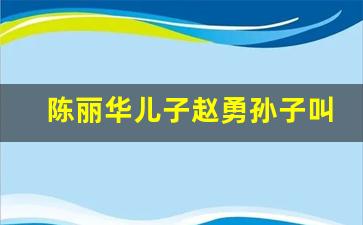 陈丽华儿子赵勇孙子叫什么_陈丽华儿子赵甬几个孩子了